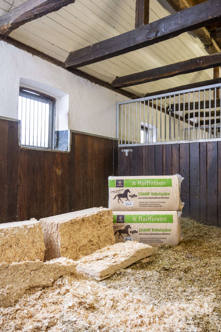 KANTRIE Hobelspäne Champ